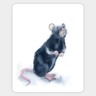 Rat print of watercolor painting Sticker